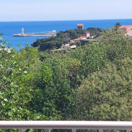 Port-Vendres, Appartement Climatise Vue Mer ! Le Port A 3 Minutes ! Port Vendres Buitenkant foto